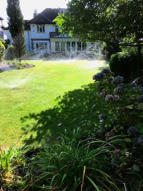 irrigation will deal with dry patchy lawns and improve grass