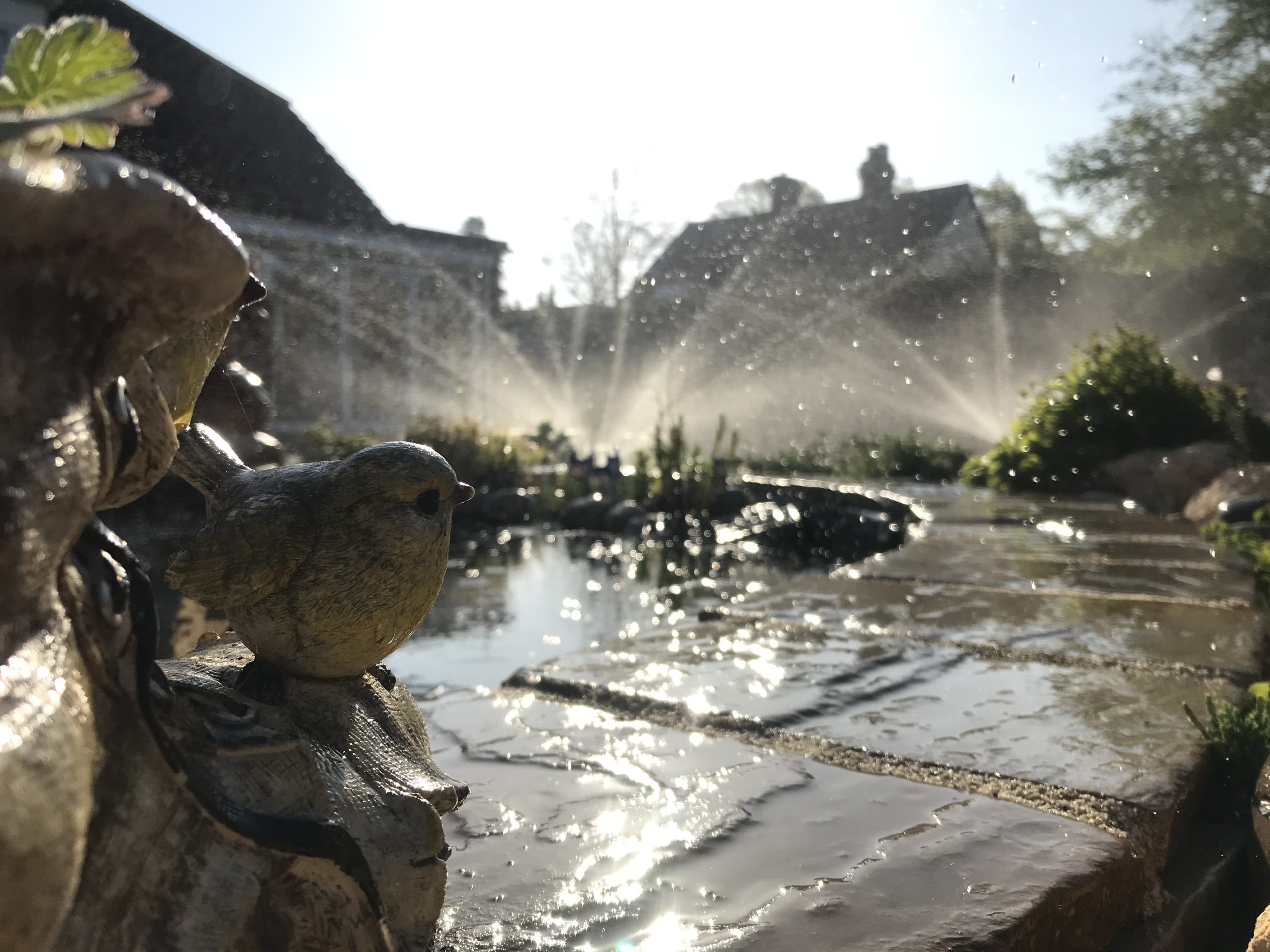 irrigation sprinklers can be beautiful as well as practical