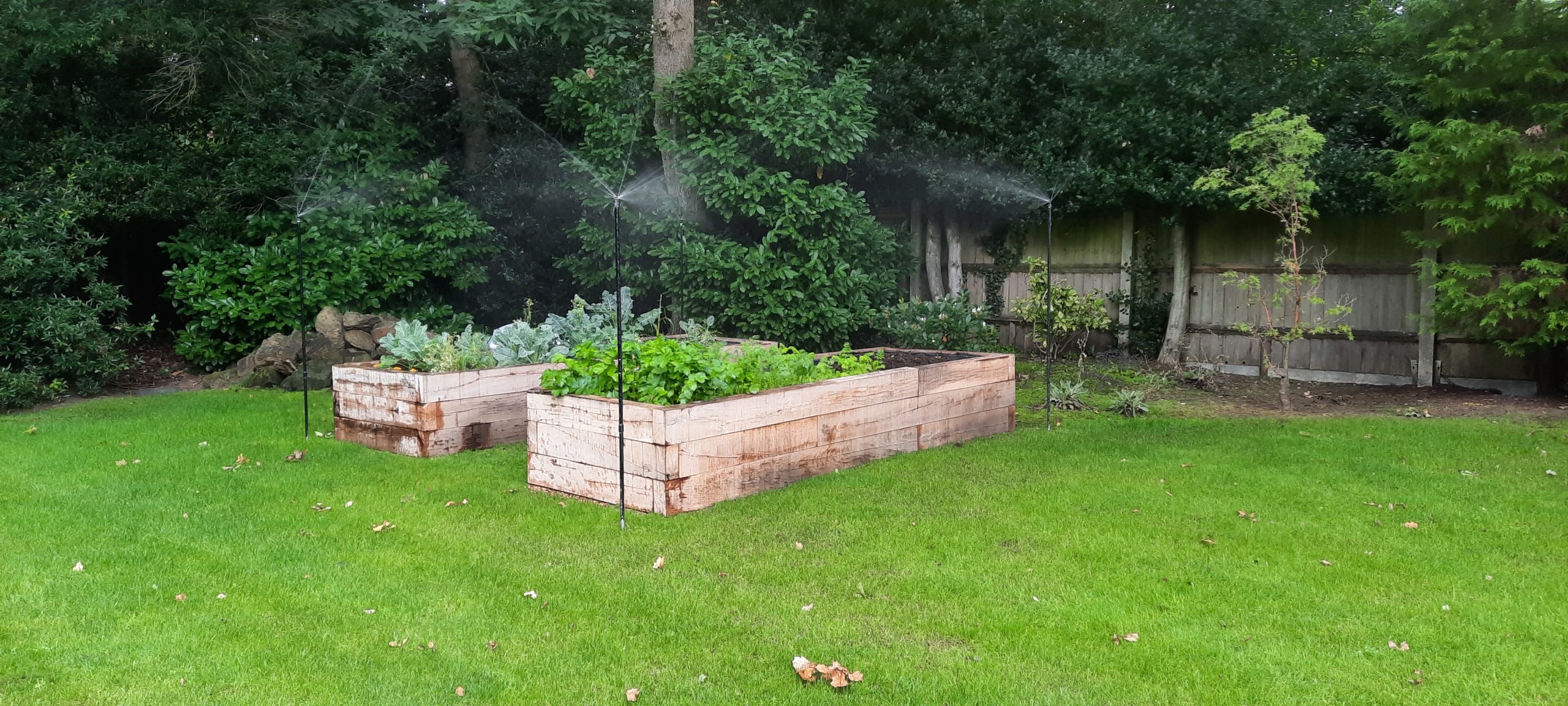 raised vegetable beds with sprinkler irrigation on tall risers