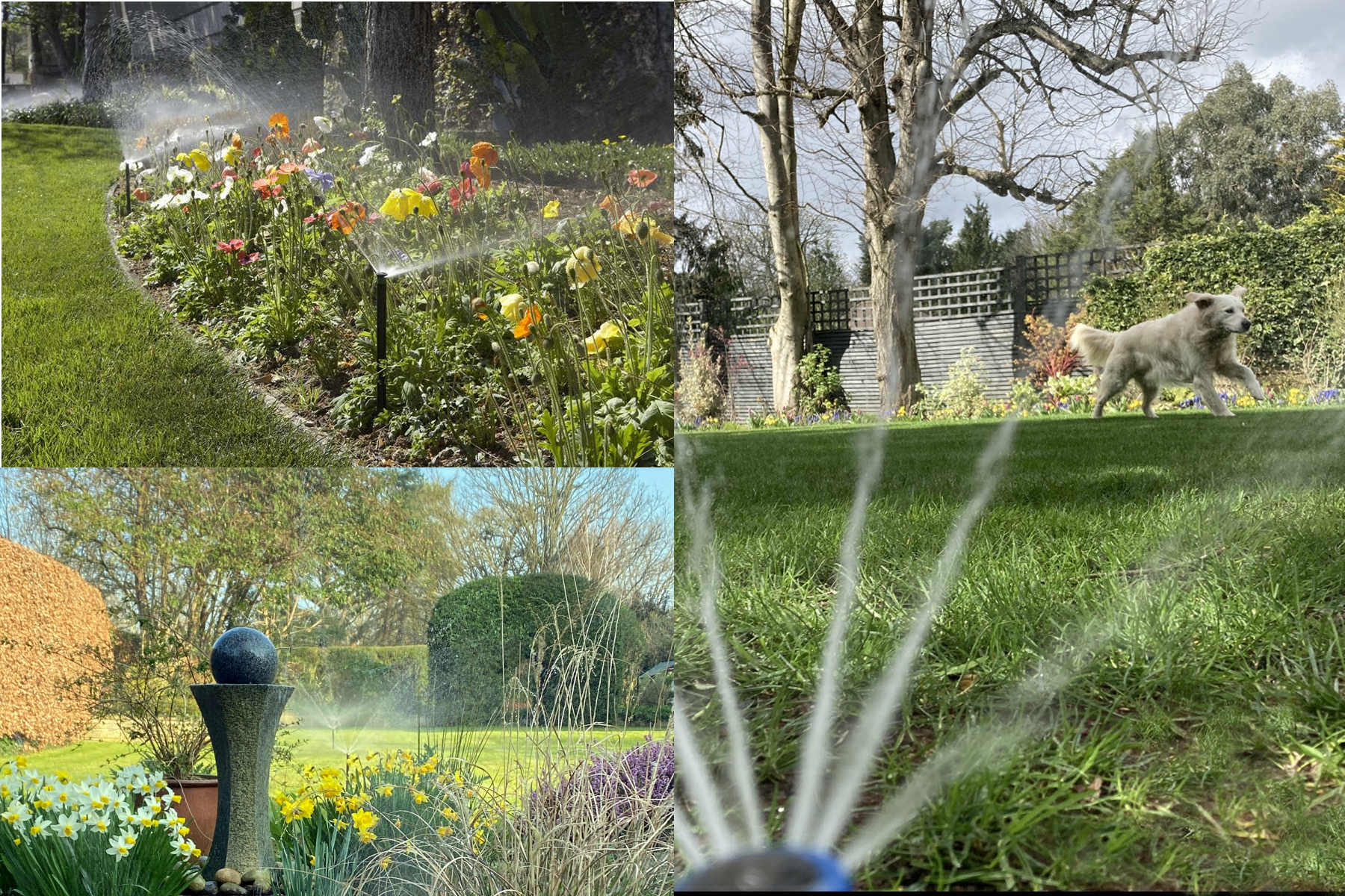 summer garden sprinklers