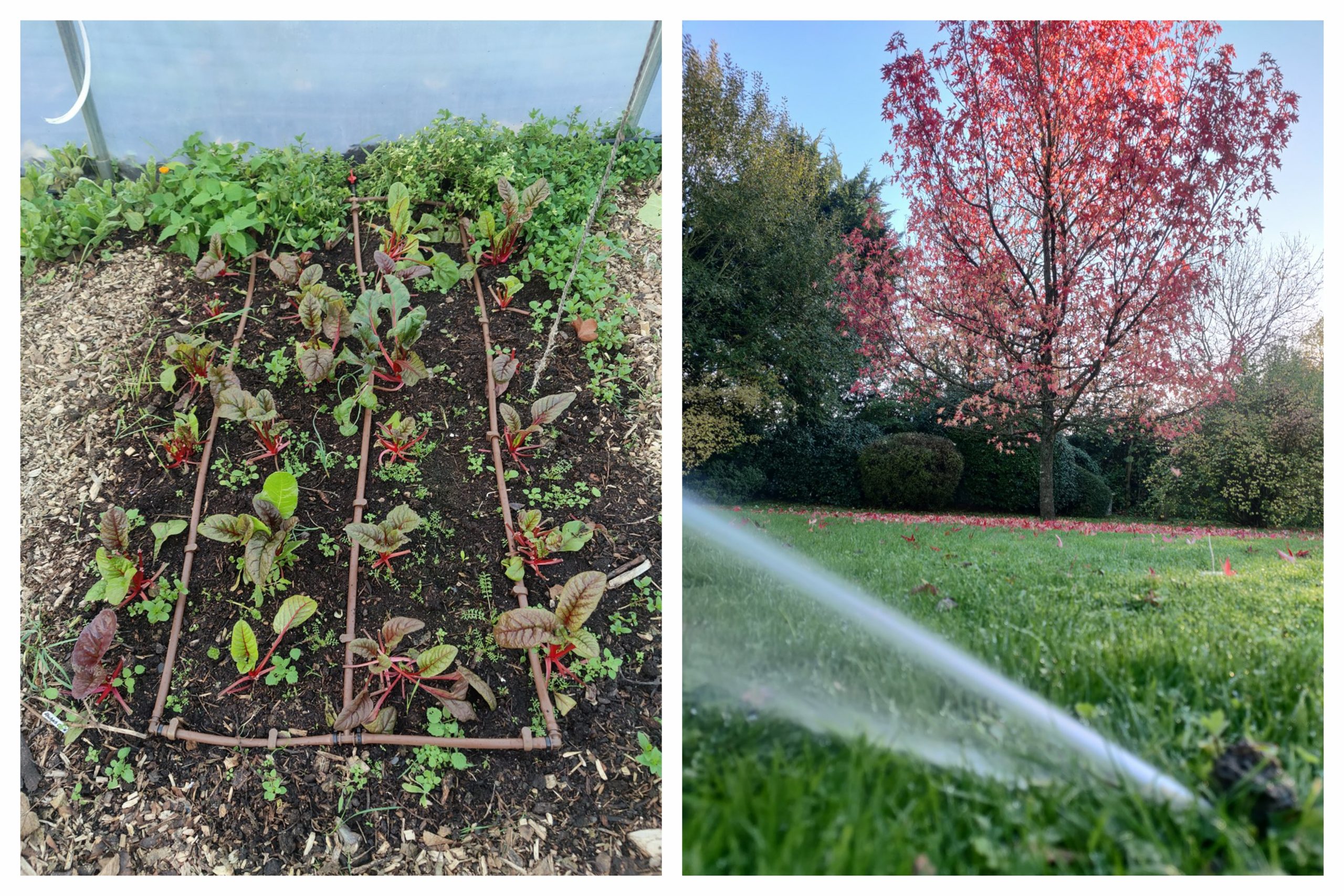 different garden irrigation methods from Rosewood Irrigation Services