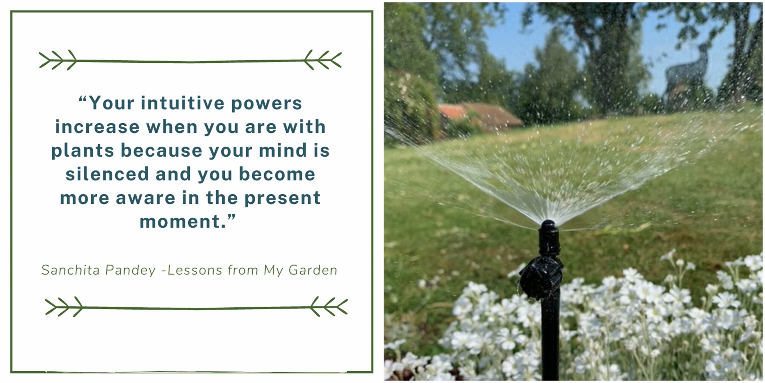 be present in nature, and make sure your garden is thriving so you can experience the most from it
