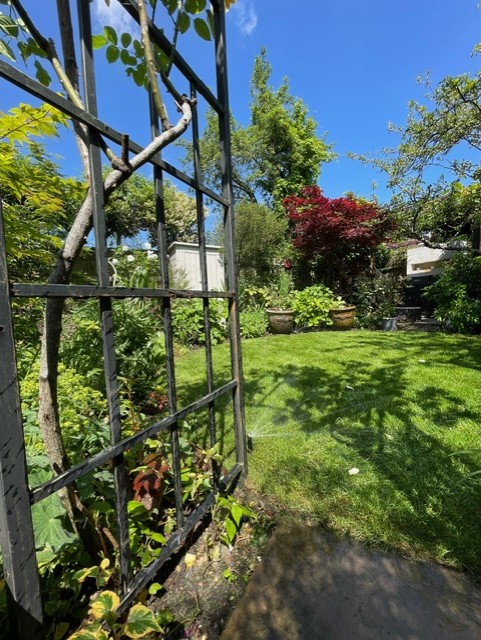 irrigation still helps in wet summers - Rosewood irrigation is keeping this gorgeous garden healthy