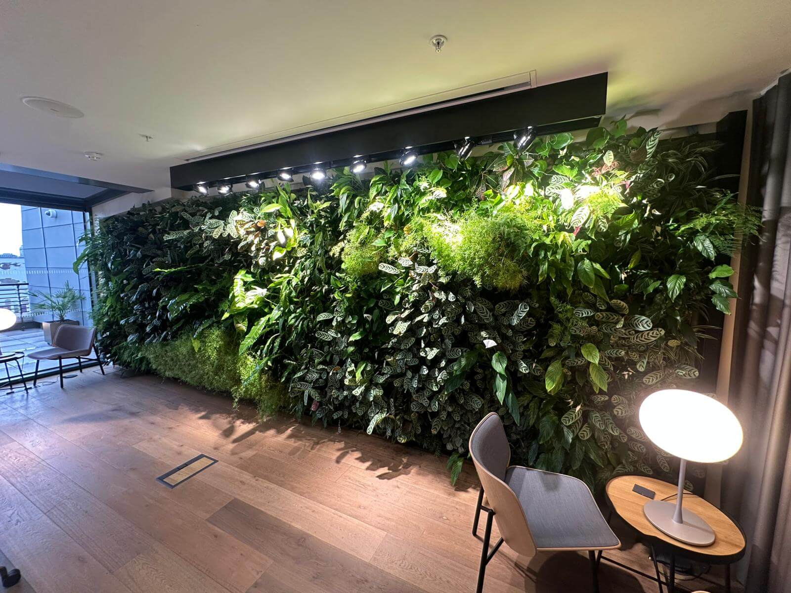 stunning office living wall in London