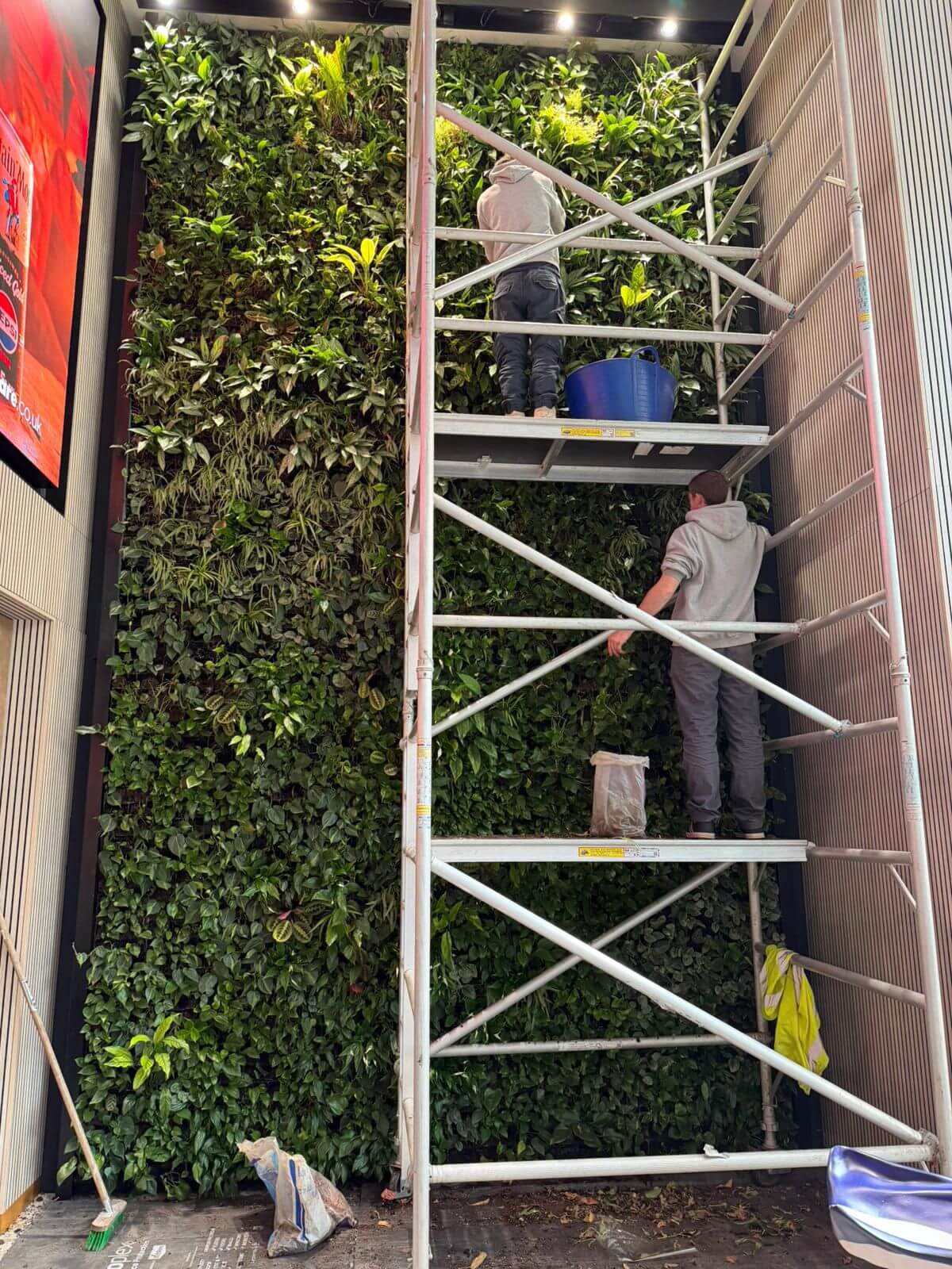 large living walls for offices and commercial spaces