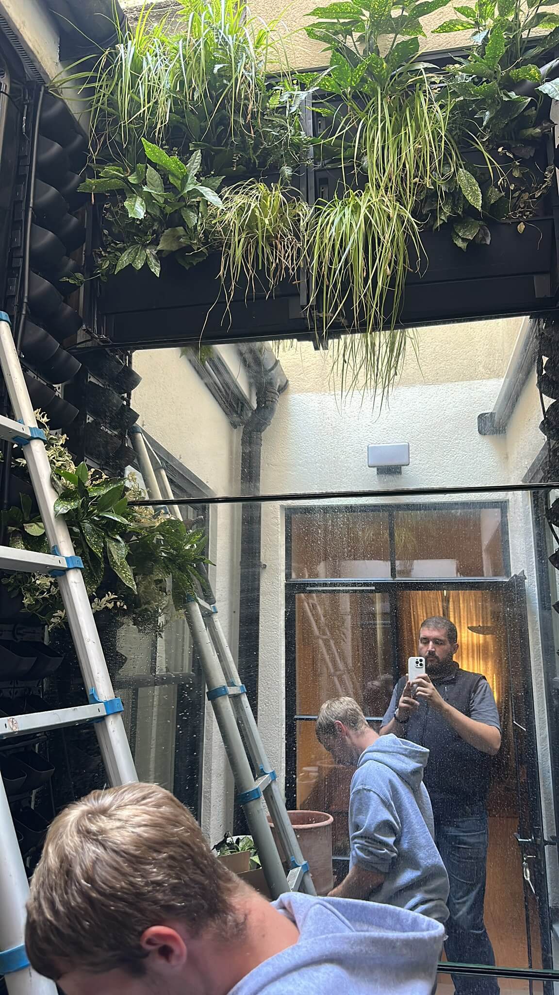 we can cover an unsightly wall with a vertical garden